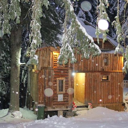 Pinetrees Lodge พลาฟ ภายนอก รูปภาพ