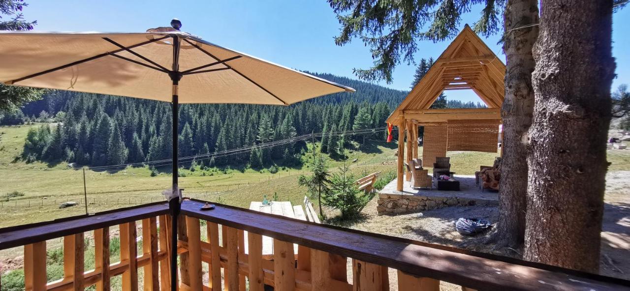 Pinetrees Lodge พลาฟ ภายนอก รูปภาพ